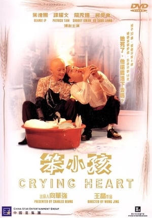 En dvd sur amazon 笨小孩