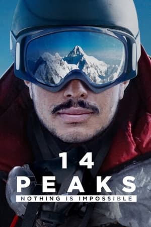 En dvd sur amazon 14 Peaks: Nothing Is Impossible