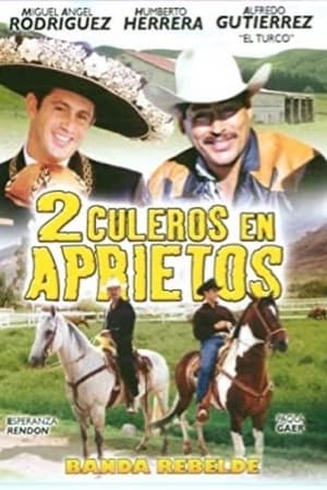 En dvd sur amazon 2 culeros en aprietos