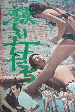 En dvd sur amazon 激しい女たち