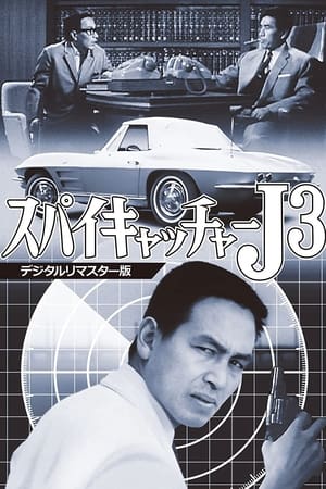 En dvd sur amazon スパイキャッチャーJ3 SOS危機一発