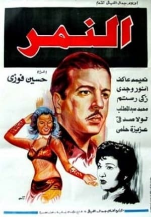 En dvd sur amazon النمر