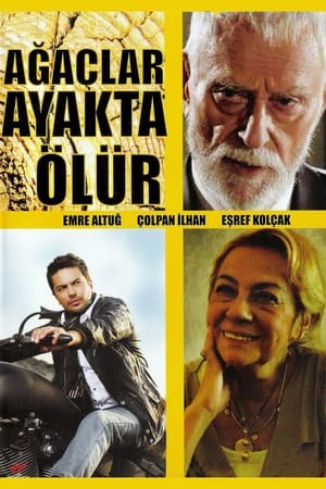 En dvd sur amazon Ağaçlar Ayakta Ölür