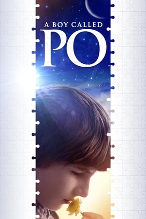 En dvd sur amazon A Boy Called Po