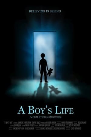En dvd sur amazon A Boy's Life