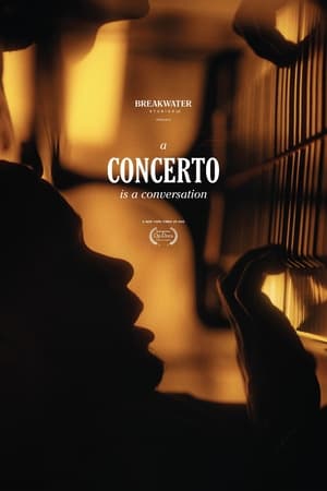 En dvd sur amazon A Concerto Is a Conversation