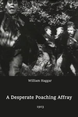 En dvd sur amazon A Desperate Poaching Affray