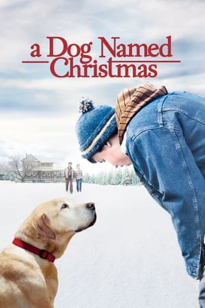 En dvd sur amazon A Dog Named Christmas