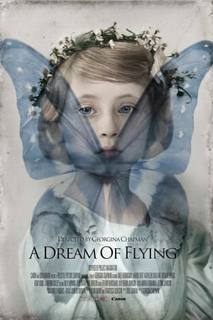 En dvd sur amazon A Dream of Flying