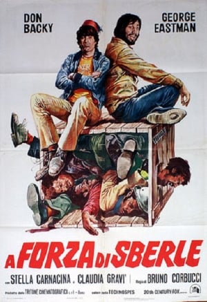 En dvd sur amazon A forza di sberle