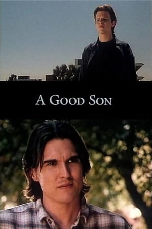 En dvd sur amazon A Good Son