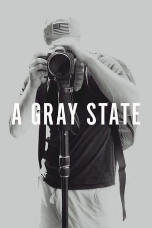 En dvd sur amazon A Gray State