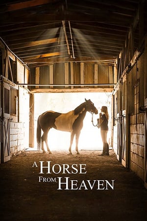 En dvd sur amazon A Horse from Heaven