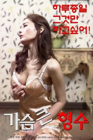 En dvd sur amazon 가슴 큰 형수