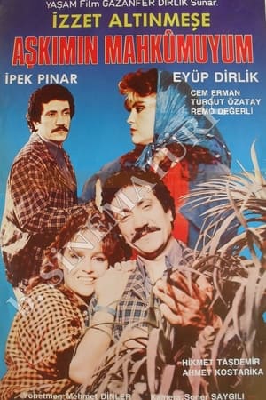 En dvd sur amazon Aşkımın Mahkumuyum