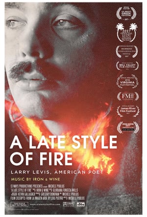 En dvd sur amazon A Late Style of Fire