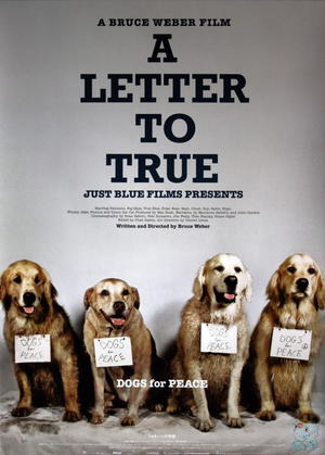 En dvd sur amazon A Letter to True