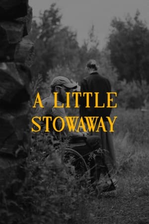 En dvd sur amazon A Little Stowaway