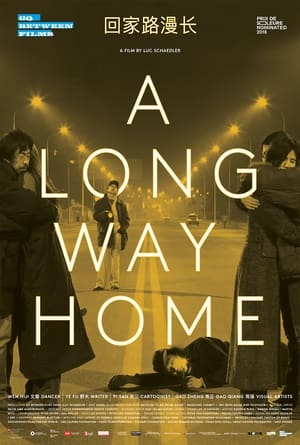 En dvd sur amazon A Long Way Home
