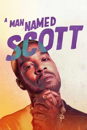 En dvd sur amazon A Man Named Scott