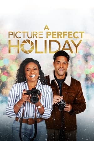 En dvd sur amazon A Picture Perfect Holiday
