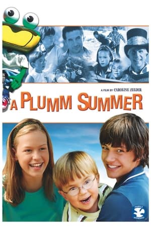 En dvd sur amazon A Plumm Summer