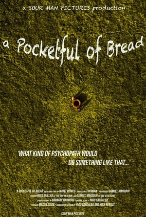 En dvd sur amazon A Pocketful of Bread