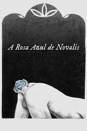 En dvd sur amazon A Rosa Azul de Novalis