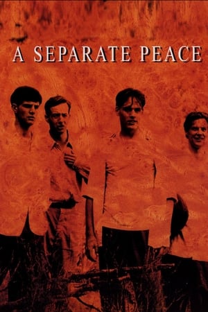 En dvd sur amazon A Separate Peace