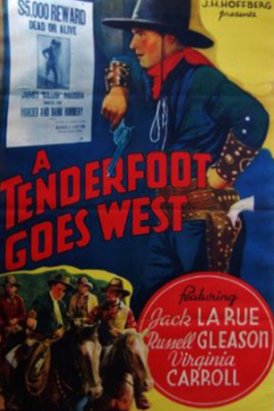En dvd sur amazon A Tenderfoot Goes West