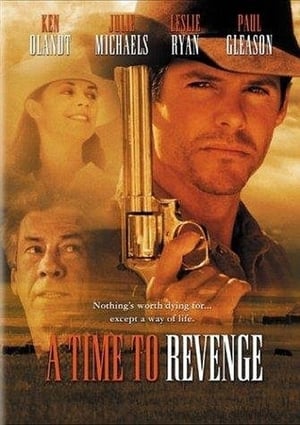 En dvd sur amazon A Time to Revenge