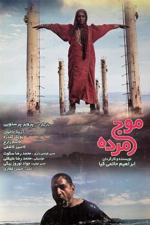 En dvd sur amazon موج مرده