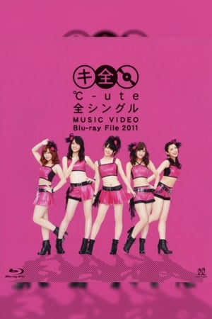 En dvd sur amazon ℃-ute 全シングル MUSIC VIDEO Blu-ray File 2011