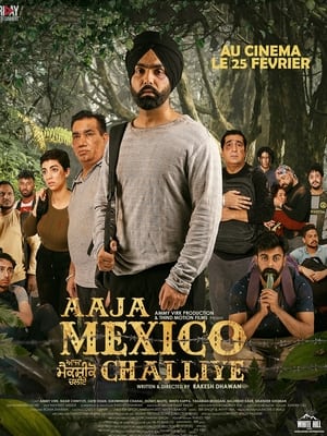 En dvd sur amazon Aaja Mexico Challiye