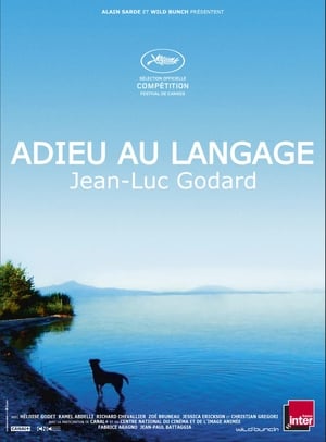 En dvd sur amazon Adieu au langage