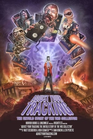 En dvd sur amazon Adjust Your Tracking: The Untold Story of the VHS Collector