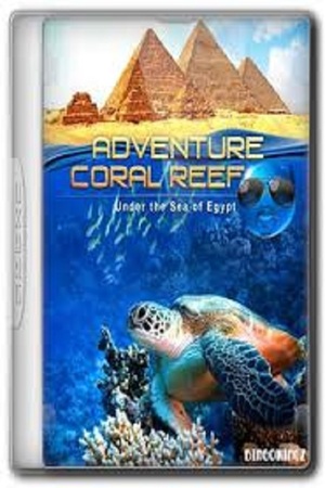 En dvd sur amazon Adventure Coral Reef 3D - Under the Sea of Egypt