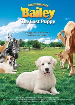 En dvd sur amazon Adventures of Bailey: The Lost Puppy