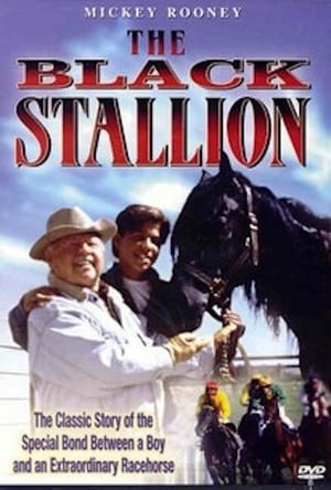 En dvd sur amazon Adventures of the Black Stallion