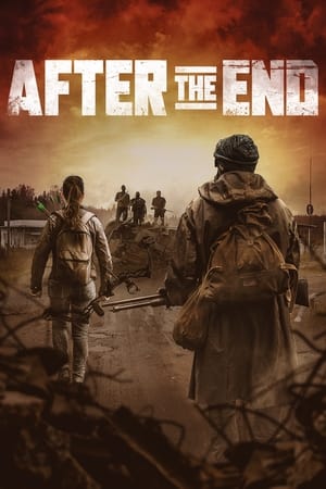 En dvd sur amazon After the End