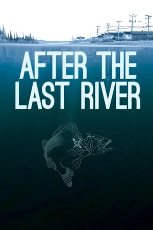 En dvd sur amazon After the Last River
