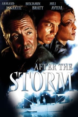 En dvd sur amazon After the Storm
