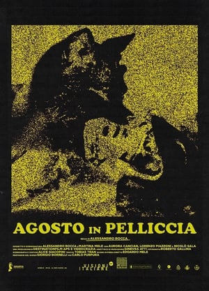 En dvd sur amazon Agosto in pelliccia