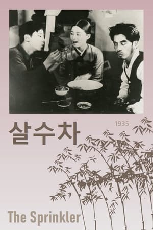 En dvd sur amazon 살수차