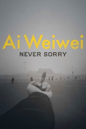 En dvd sur amazon Ai Weiwei: Never Sorry