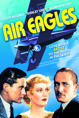En dvd sur amazon Air Eagles