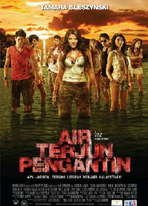 En dvd sur amazon Air Terjun Pengantin