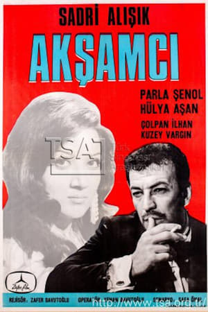 En dvd sur amazon Akşamcı