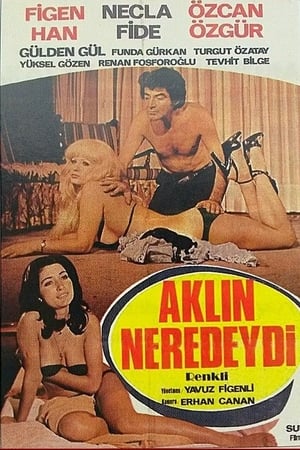 En dvd sur amazon Aklın Neredeydi