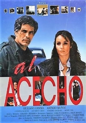 En dvd sur amazon Al acecho